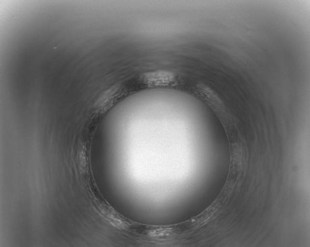 X0000054390761200508051647