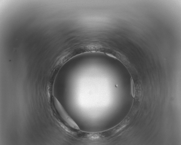 X0000054390762200508051647