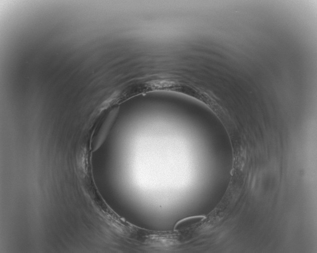 X0000054390763200508051647