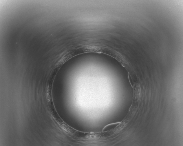 X0000054390764200508051647