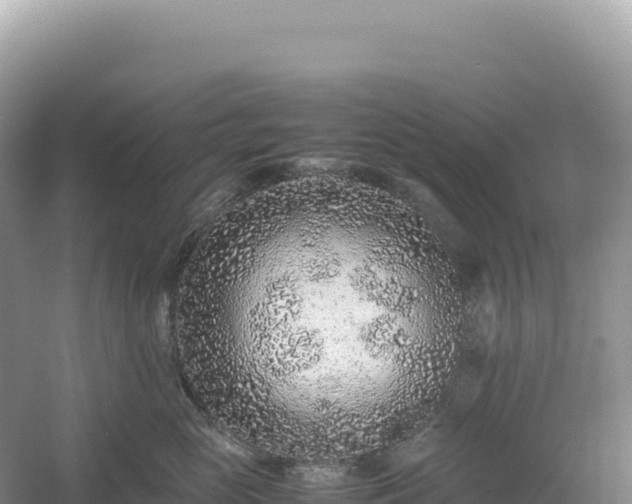 X0000054390765200508051647