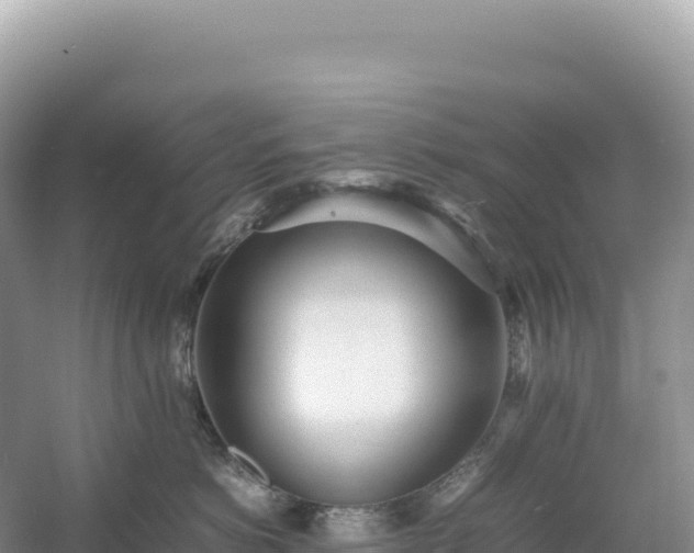 X0000054390766200508051647