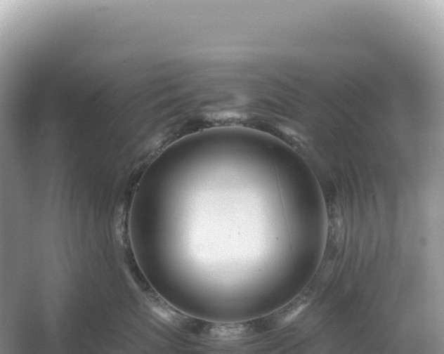 X0000054390767200508051647