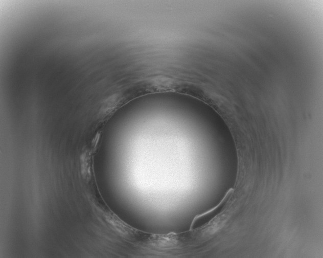 X0000054390768200508051647