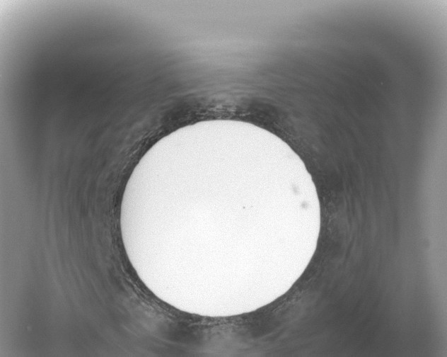 X0000054390769200508051646