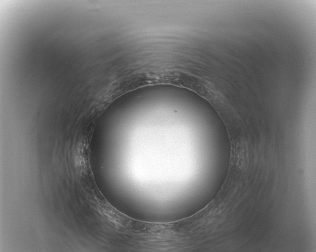 X0000054390770200508051646