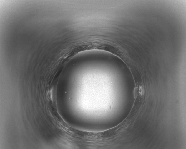 X0000054390771200508051646