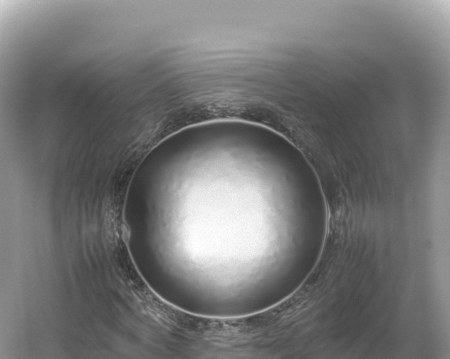 X0000054390772200508051646