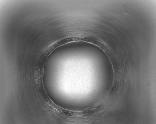 X0000054390773200508051646