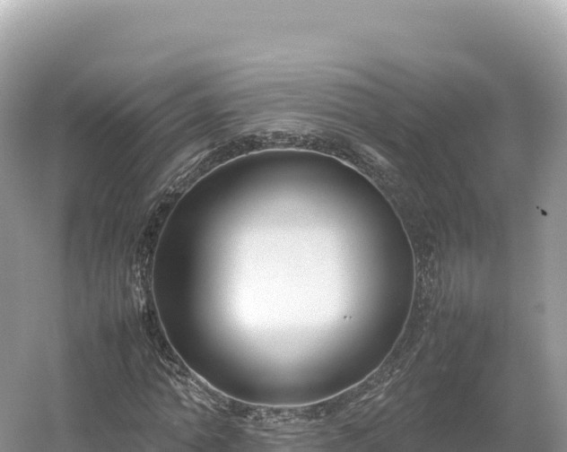 X0000054390774200508051646