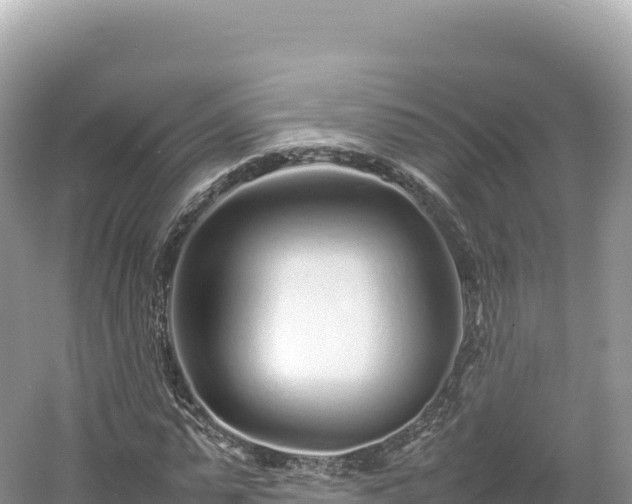 X0000054390775200508051646