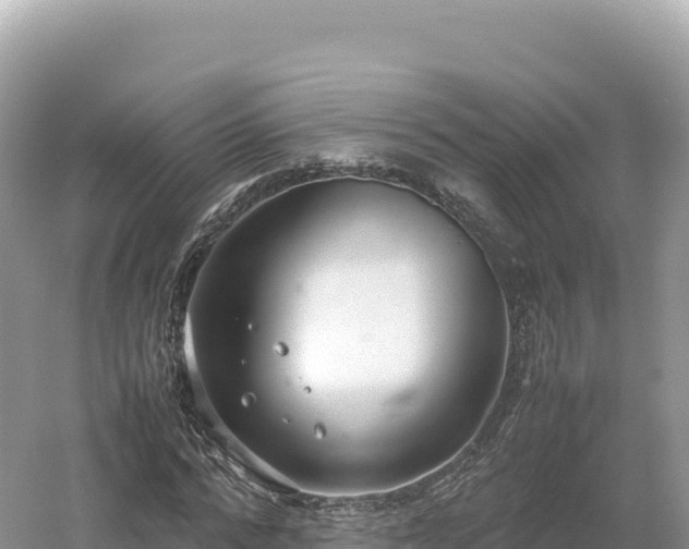 X0000054390776200508051646