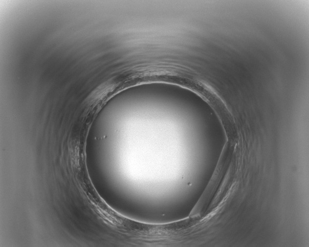 X0000054390777200508051646