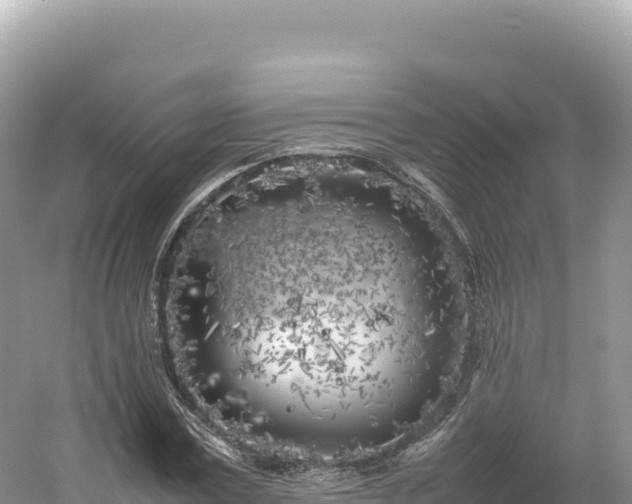 X0000054390779200508051646