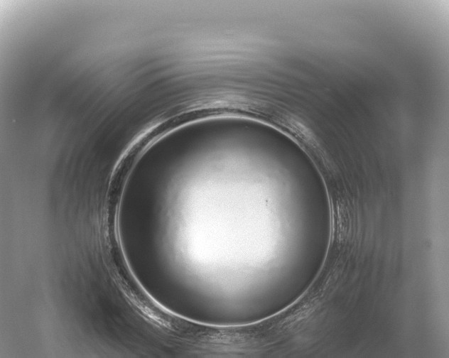 X0000054390780200508051646