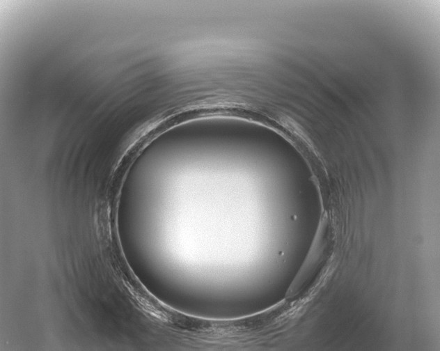 X0000054390781200508051646