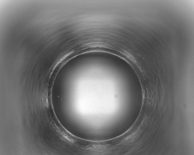 X0000054390782200508051646