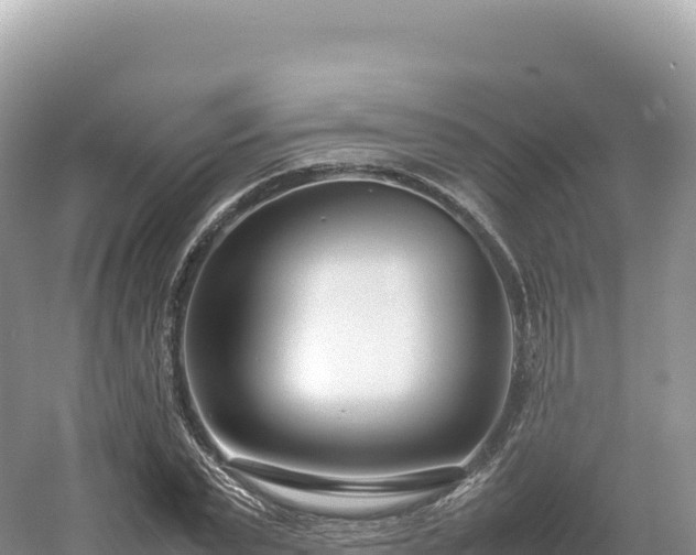 X0000054390783200508051646