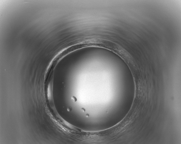 X0000054390784200508051646