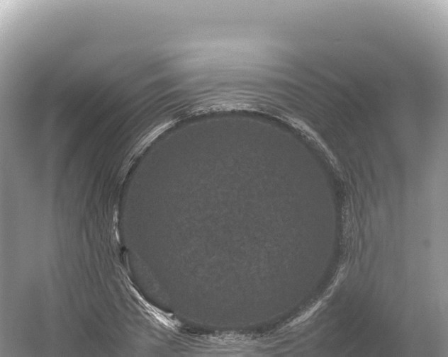 X0000054390785200508051646