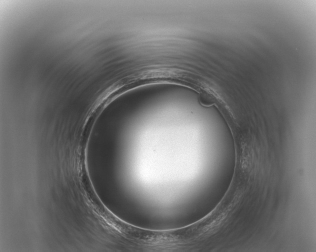 X0000054390786200508051646