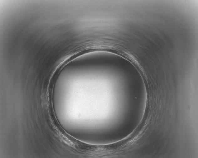 X0000054390787200508051646