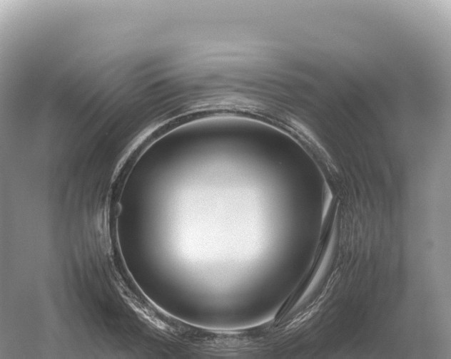 X0000054390788200508051646