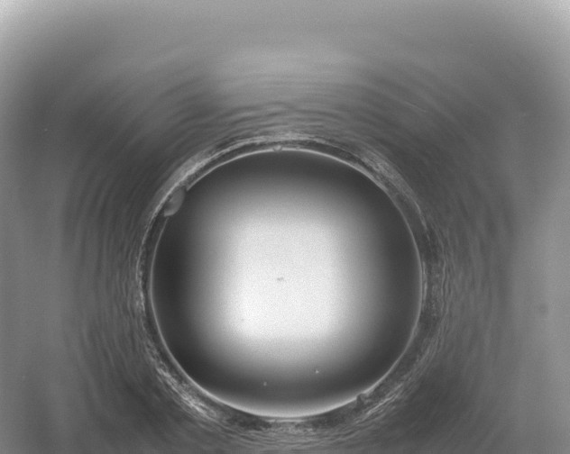 X0000054390789200508051646