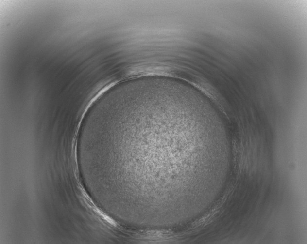 X0000054390790200508051646