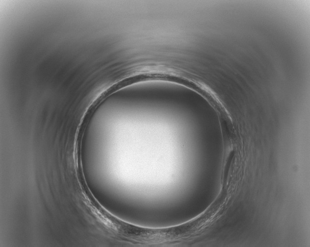 X0000054390791200508051646