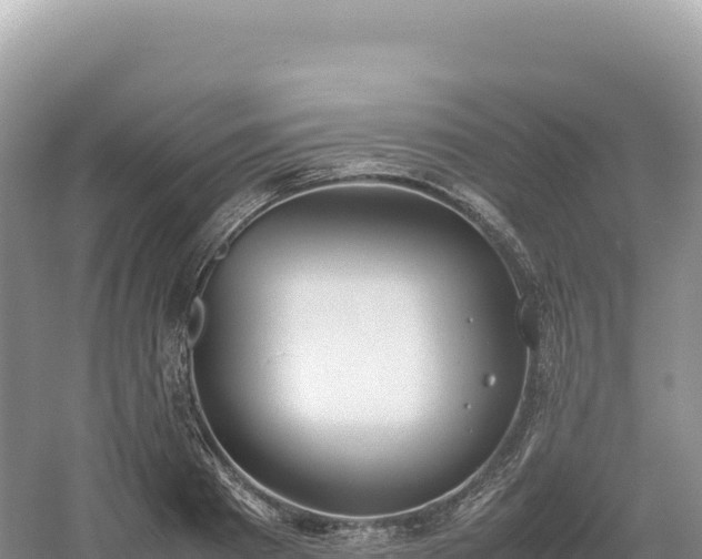 X0000054390793200508051646