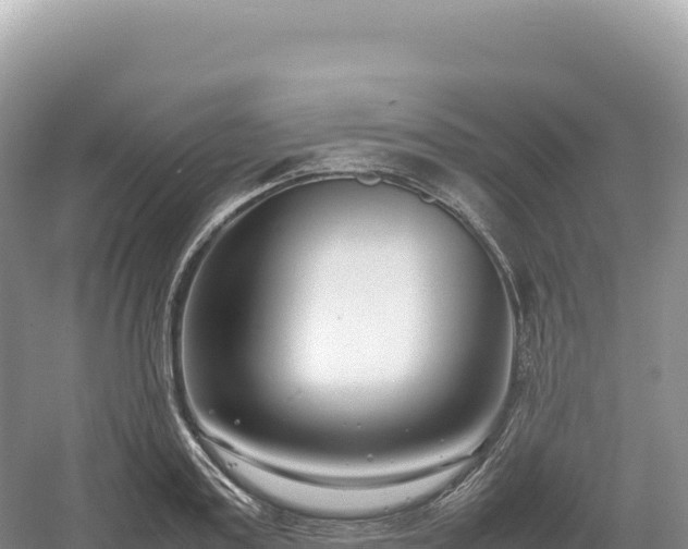 X0000054390795200508051646