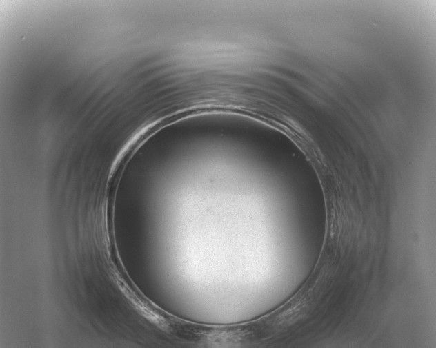 X0000054390796200508051646