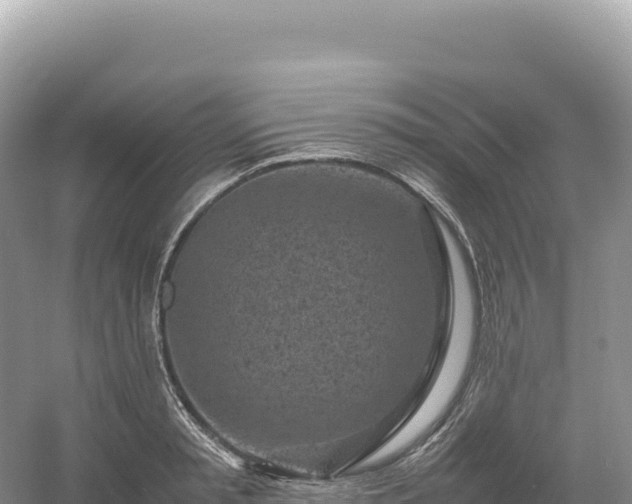 X0000054390797200508051646