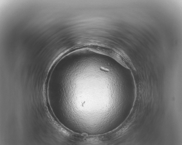 X0000054390798200508051646