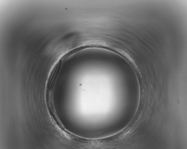 X0000054390799200508051646