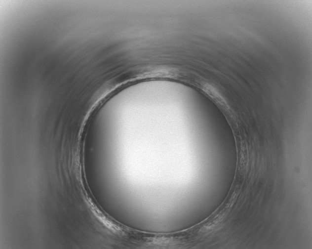 X0000054390800200508051646