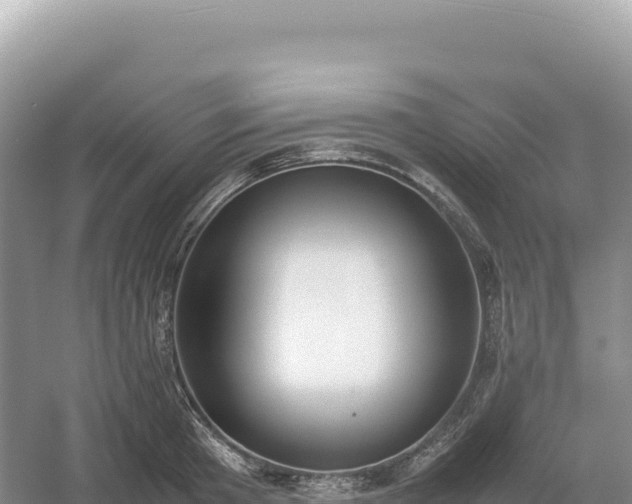 X0000054390801200508051646