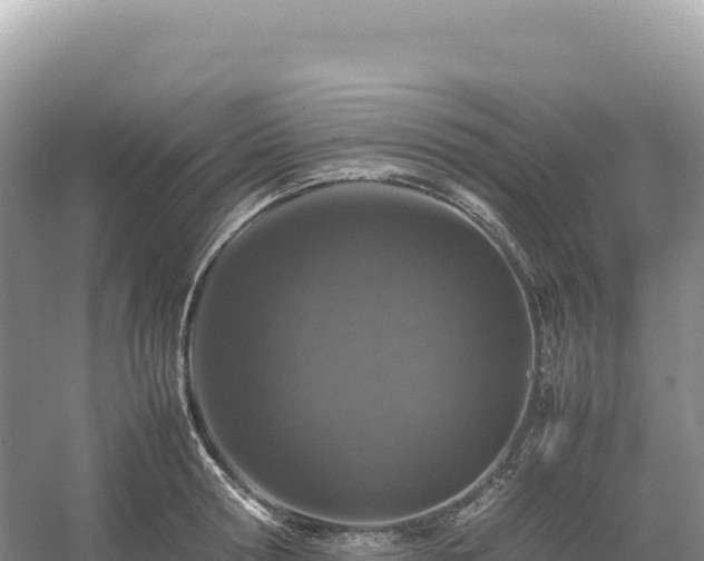 X0000054390802200508051646