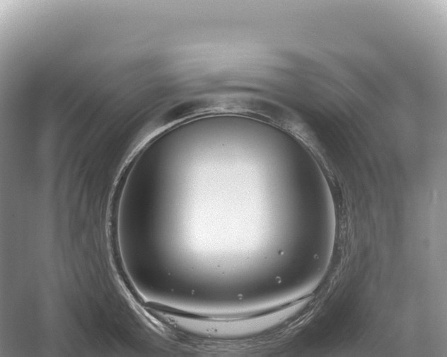 X0000054390803200508051646