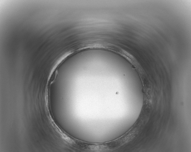 X0000054390804200508051646