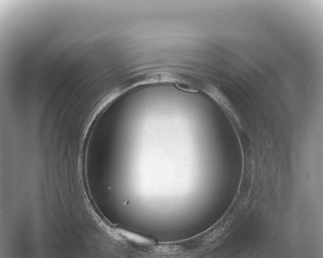 X0000054390805200508051646