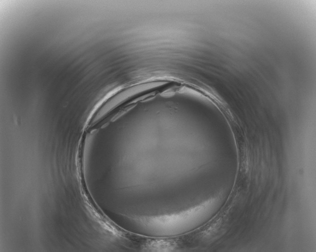 X0000054390806200508051646