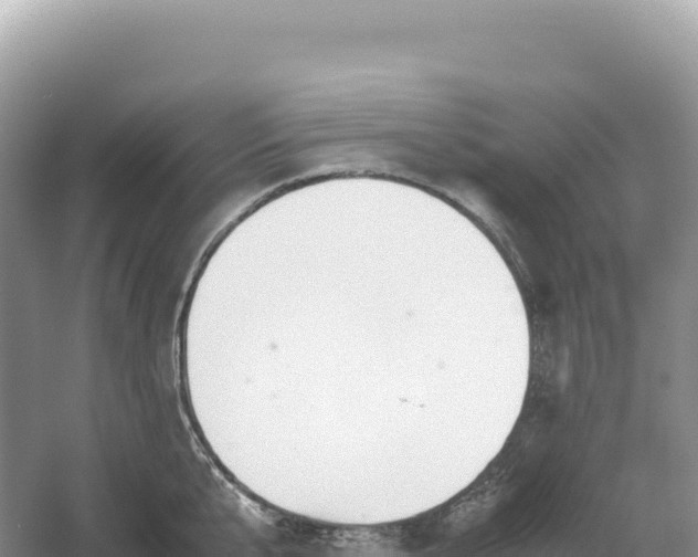 X0000054390807200508051646