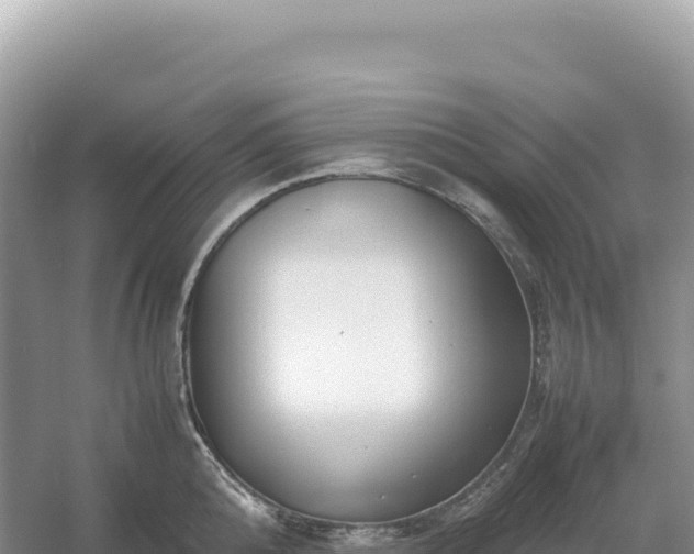 X0000054390808200508051646