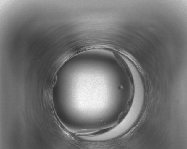 X0000054390809200508051646