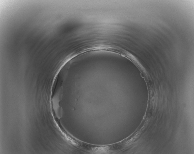 X0000054390810200508051646