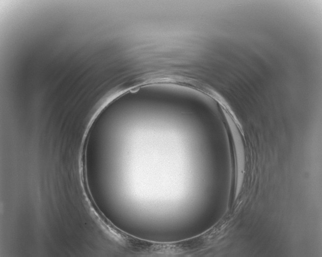 X0000054390811200508051646