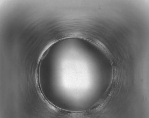 X0000054390812200508051646