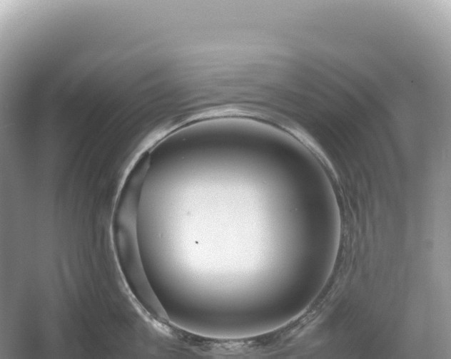 X0000054390813200508051646